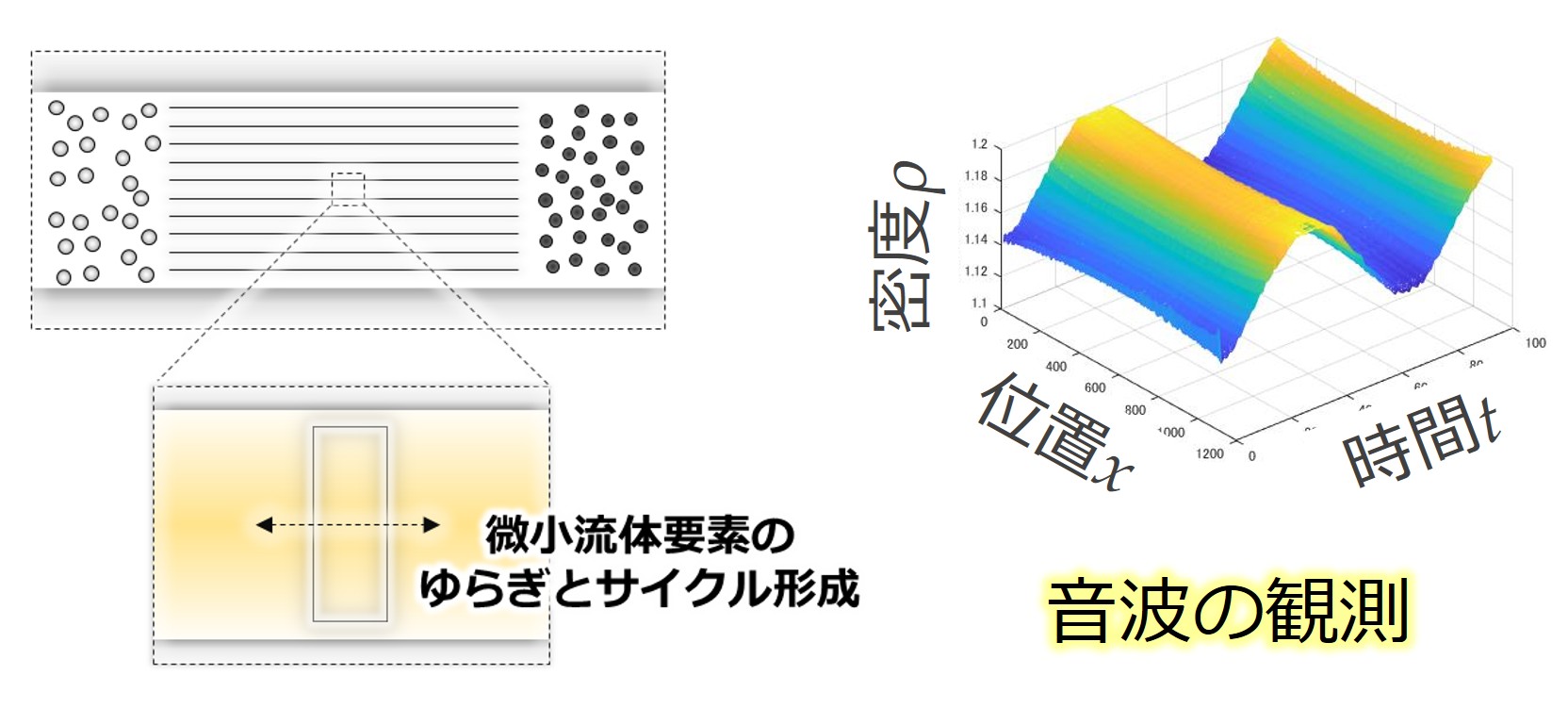 複雑流体の濡れ現象